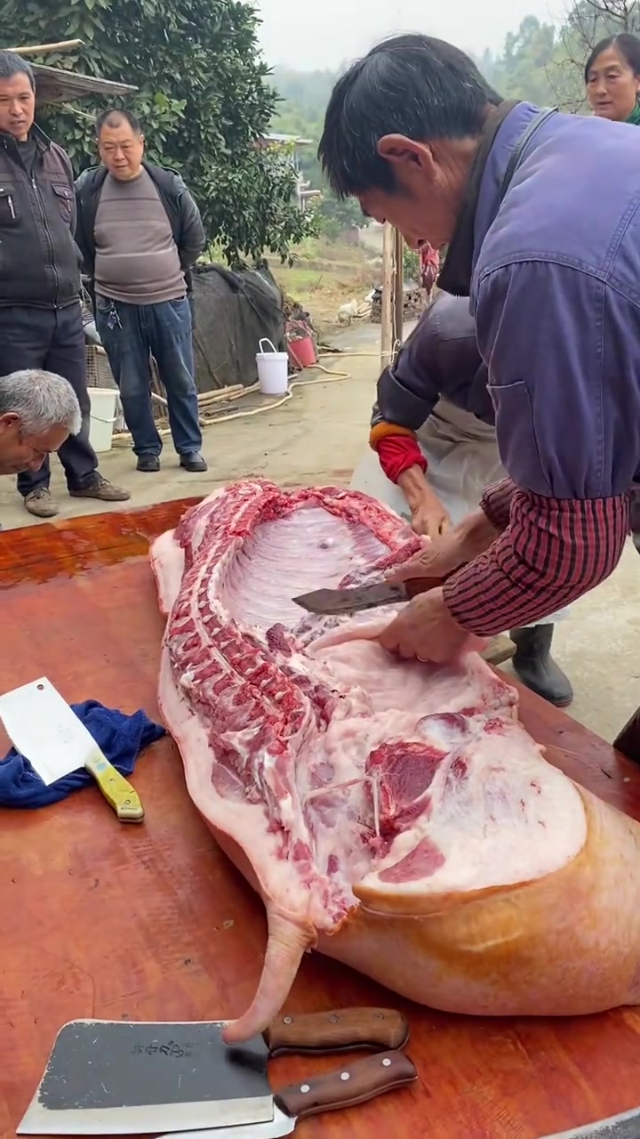 今天到朋友老家买生态猪肉，杀猪