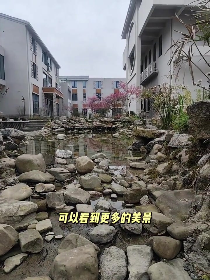 庭院打造鱼池假山，这样的景致适合旅游打卡