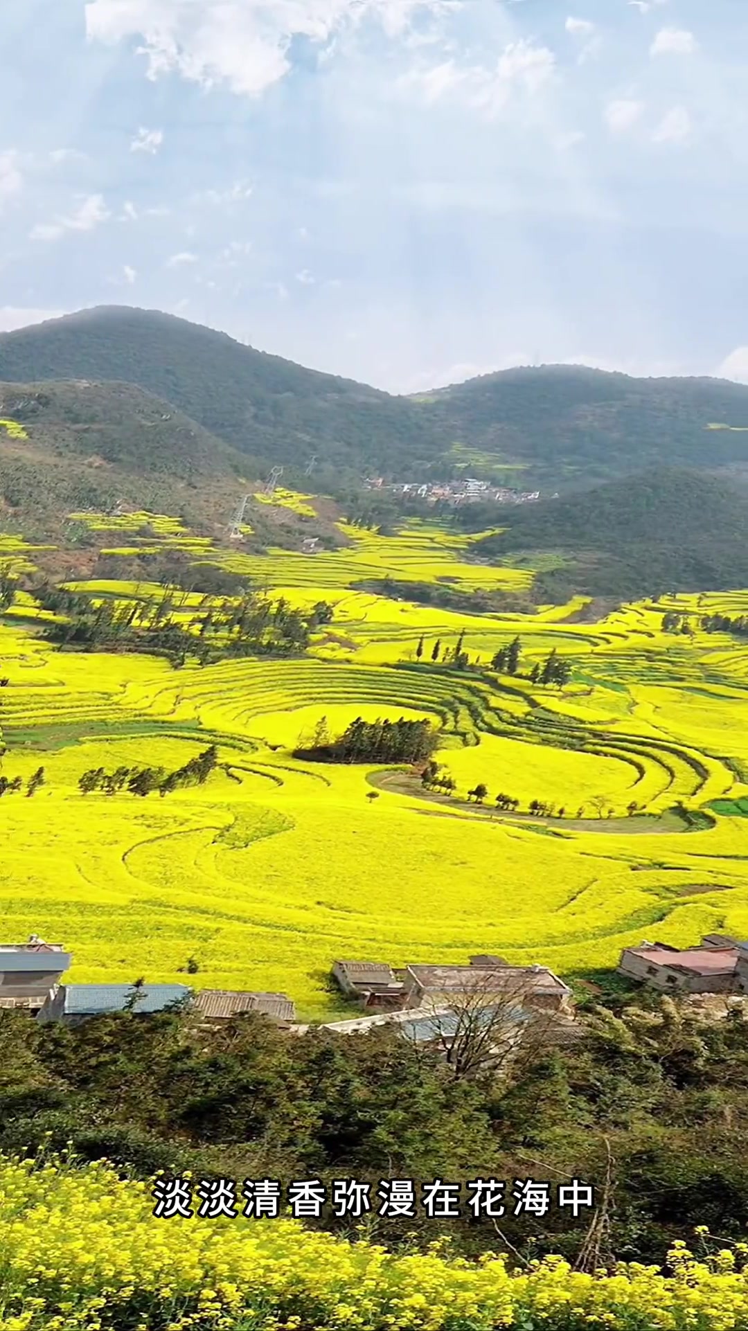 这个春天，看看云南罗平梯田油菜花海，身临其境才知它很美