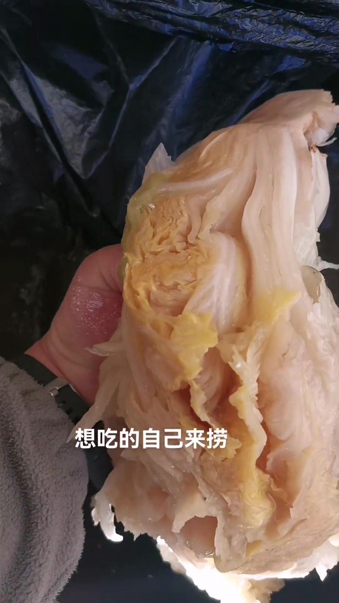 记录纯天然无添加的酸菜制作过程