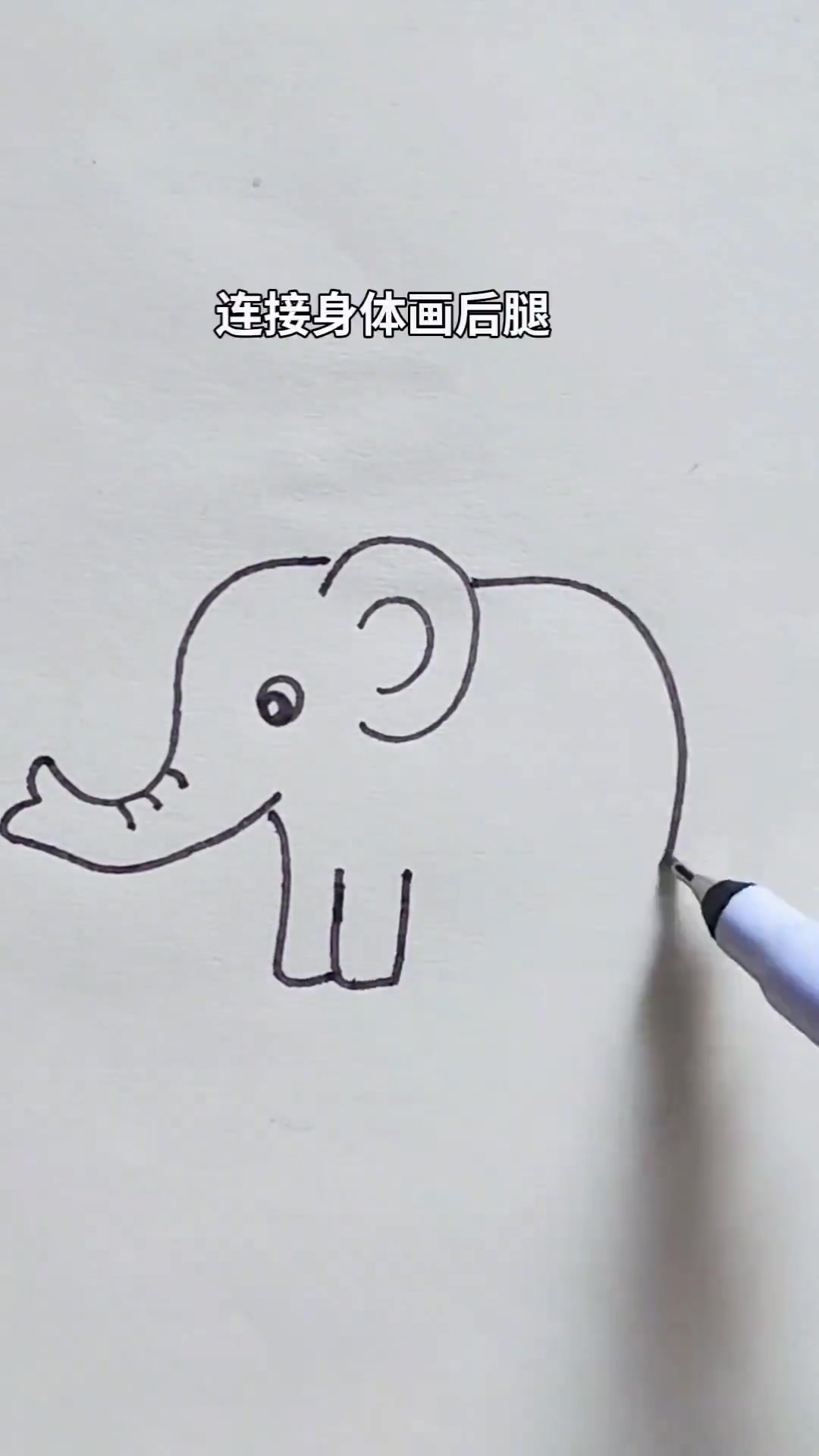学习画可爱的简笔画大象，简单好上手