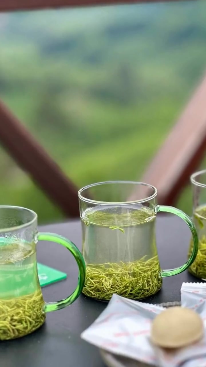 信阳文新茶村带娃上茶山，免费采茶挖竹笋