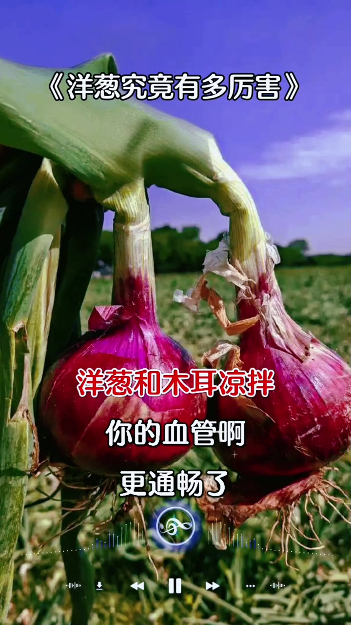 养生健康：洋葱的功效与作用有多强