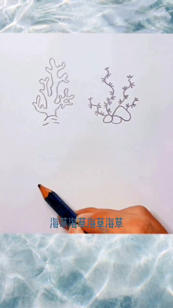 早安，学习海草画法，描绘海底世界