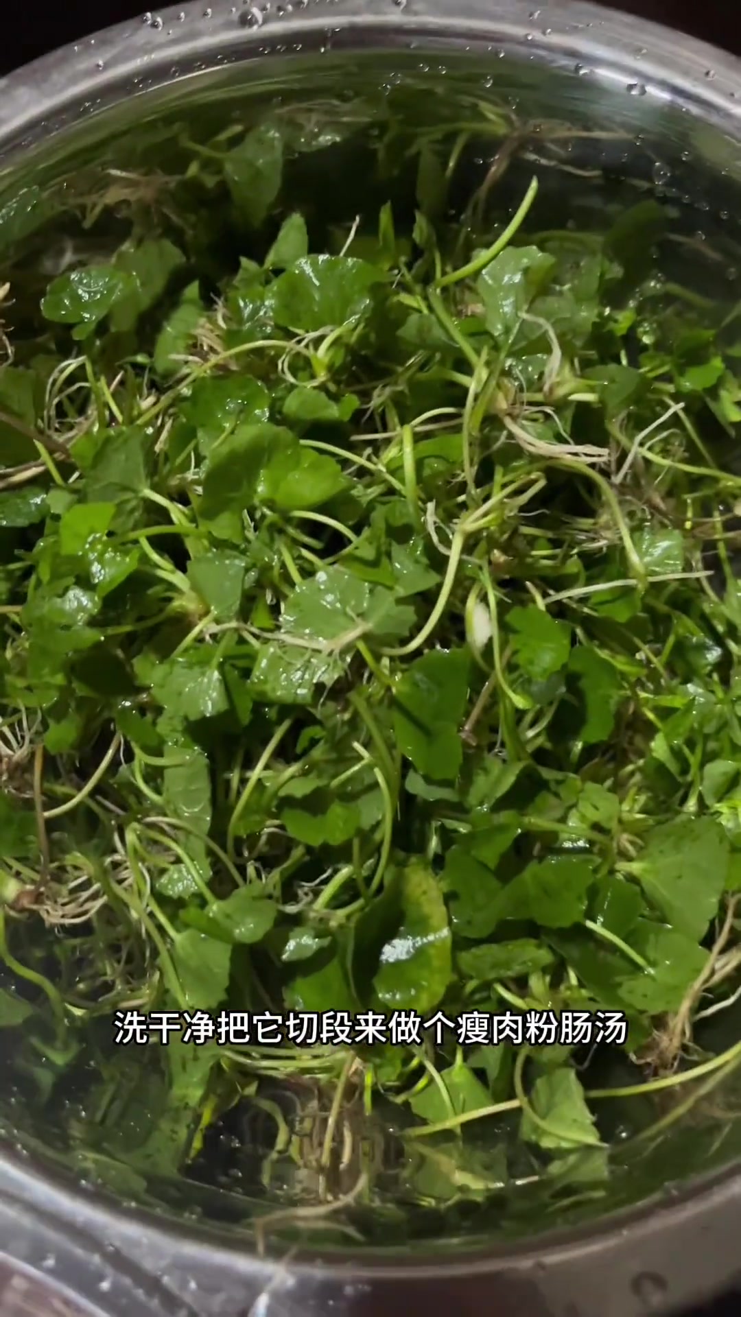 农村常见野菜，大家都是怎么吃的？