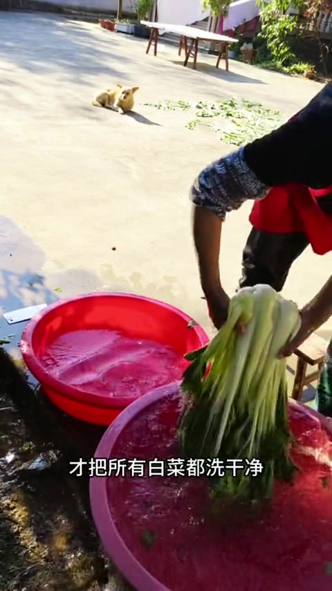 广德腌白菜怎么做？腌白菜冬笋烧肉锅子真香！