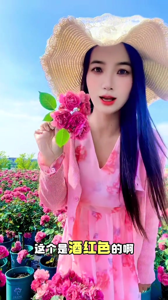 荆门花博园百亩月季园，你们心动了吗