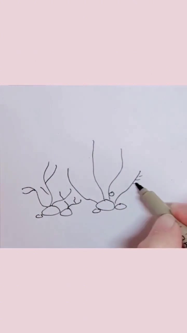 海底世界有很多植物，这两个简单海草简笔画你学会了吗
