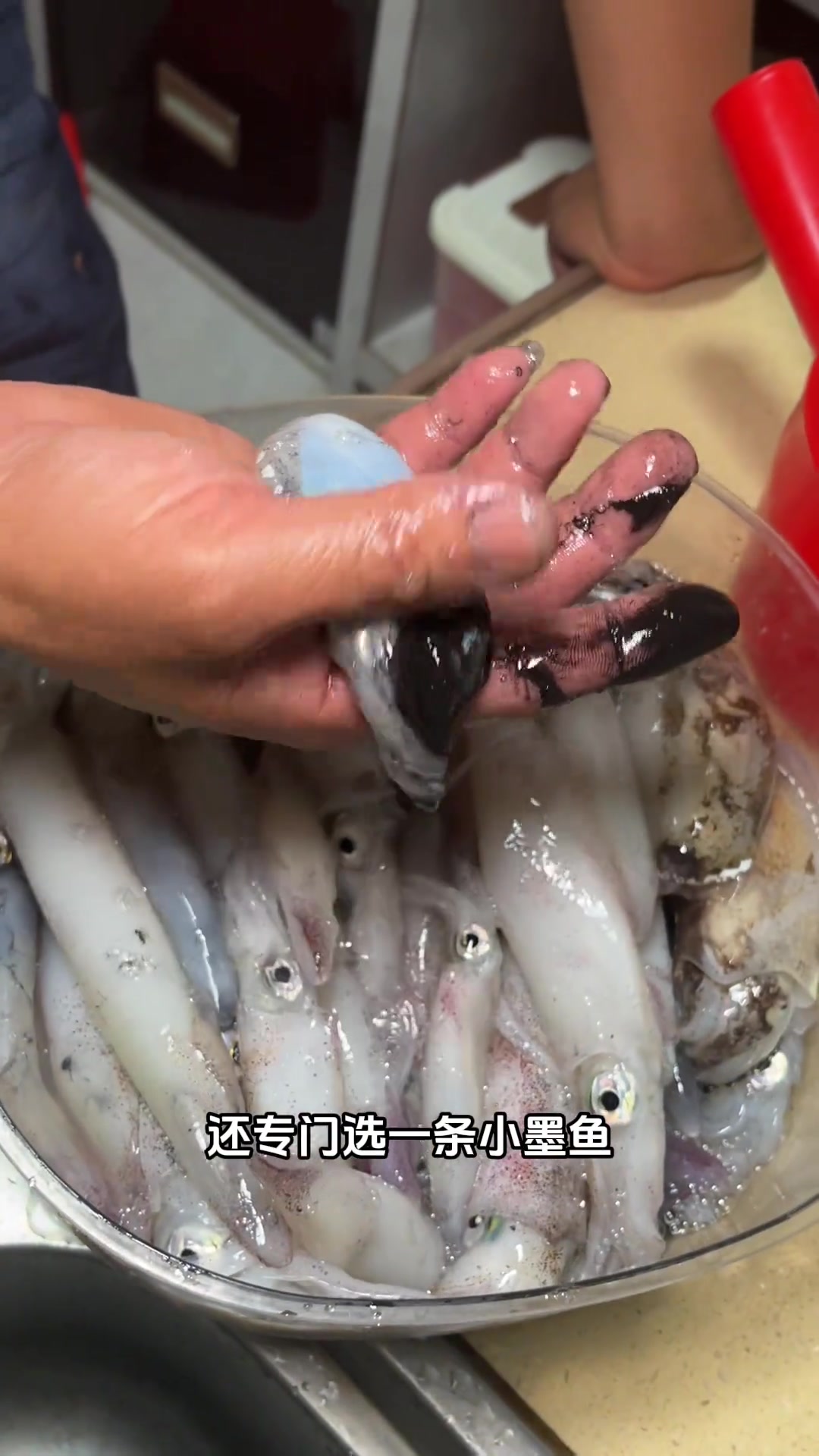 广西人的海边生活，煮一次鱿鱼粥