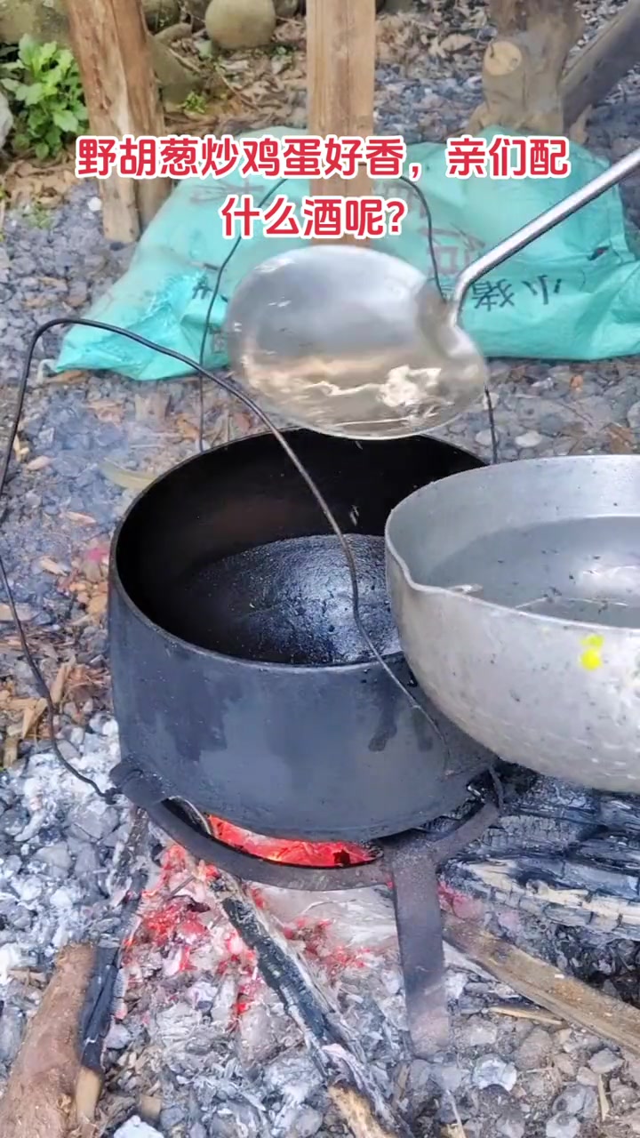 春天野菜美食指南，吃什么好？