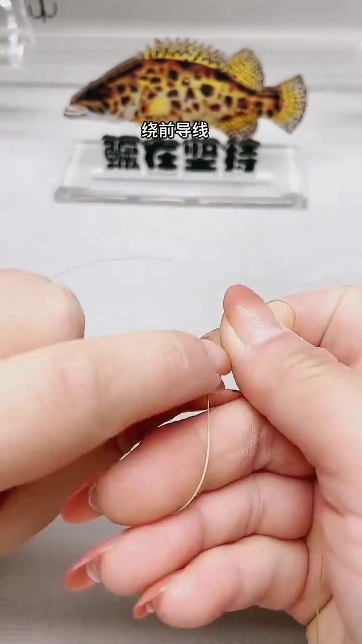路亚钓鳜鱼，新手必学的铅头钩绑法