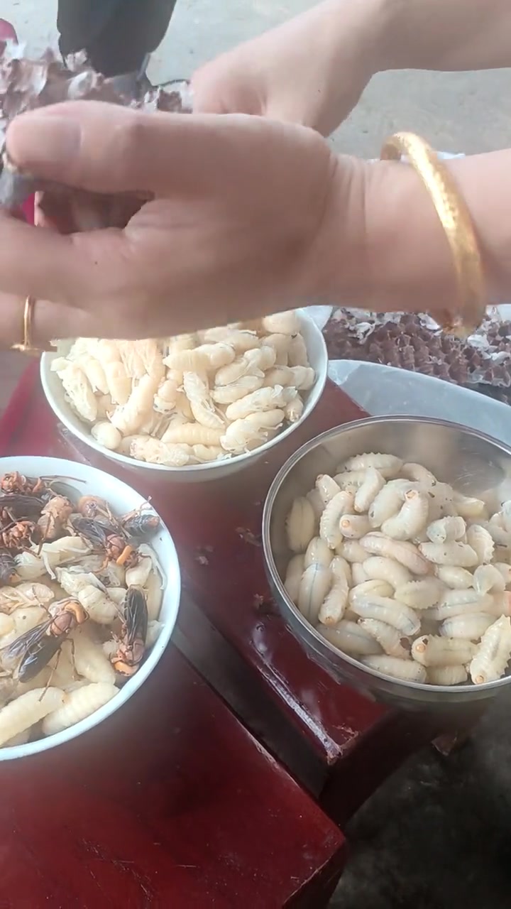 手工分拣蜂蛹幼虫备作烹饪食材过程