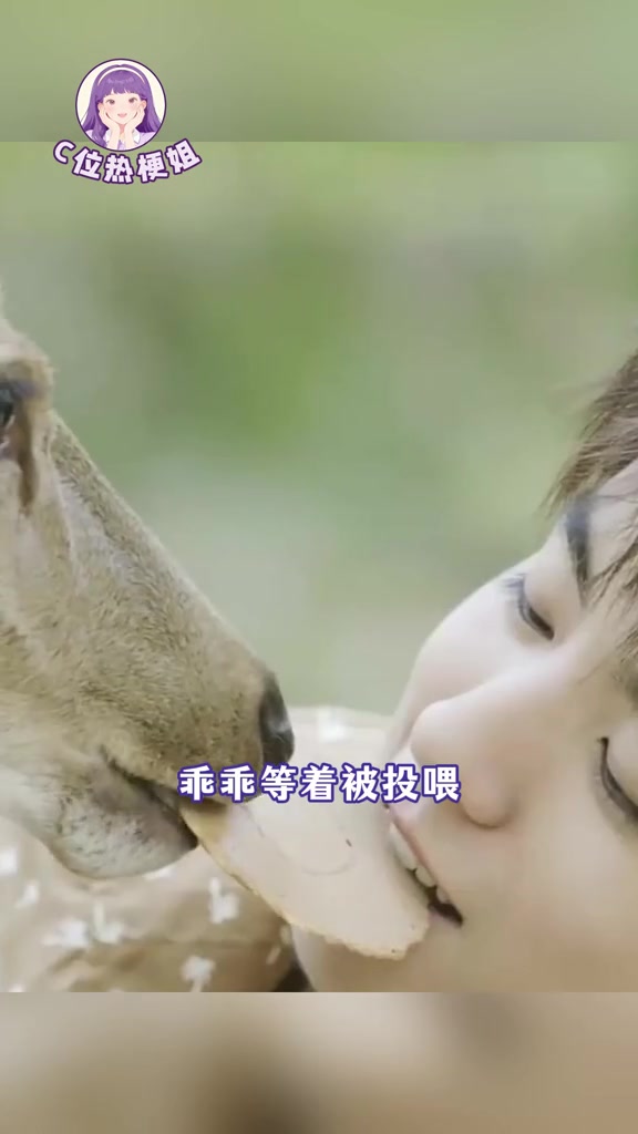 身上的磁场干净，动物都想靠近的人#王俊凯 #中餐厅 #考古 #善良 #少年感