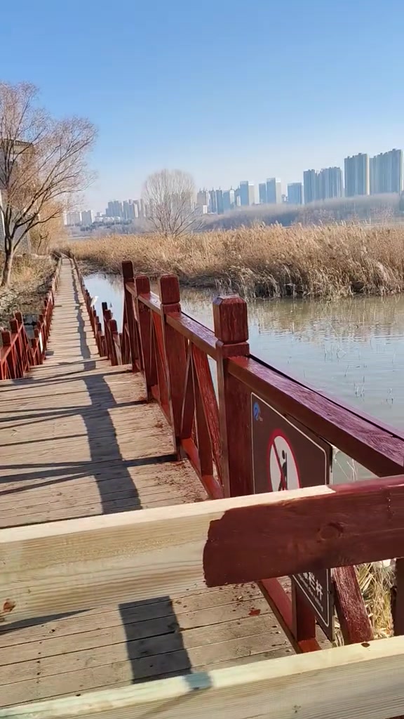 三门峡天鹅湖湿地公园：感受自然气息与美景