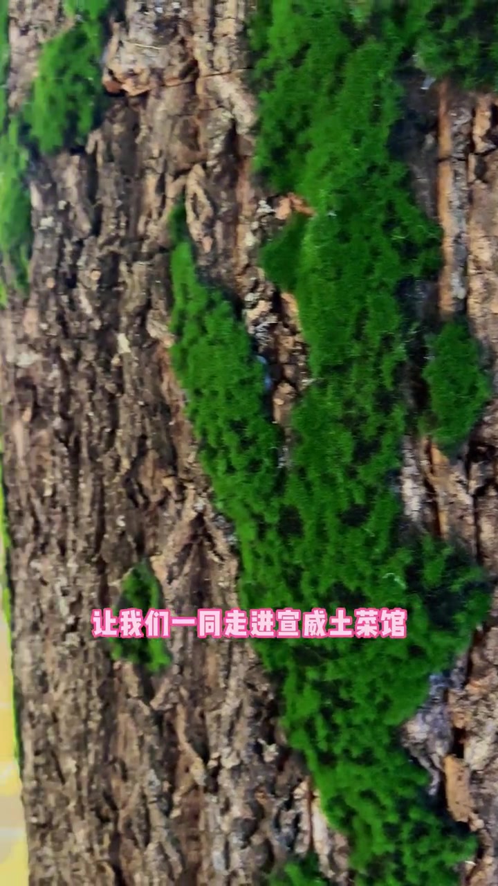 端午出游，吃地道云南宣威土菜馆家常菜