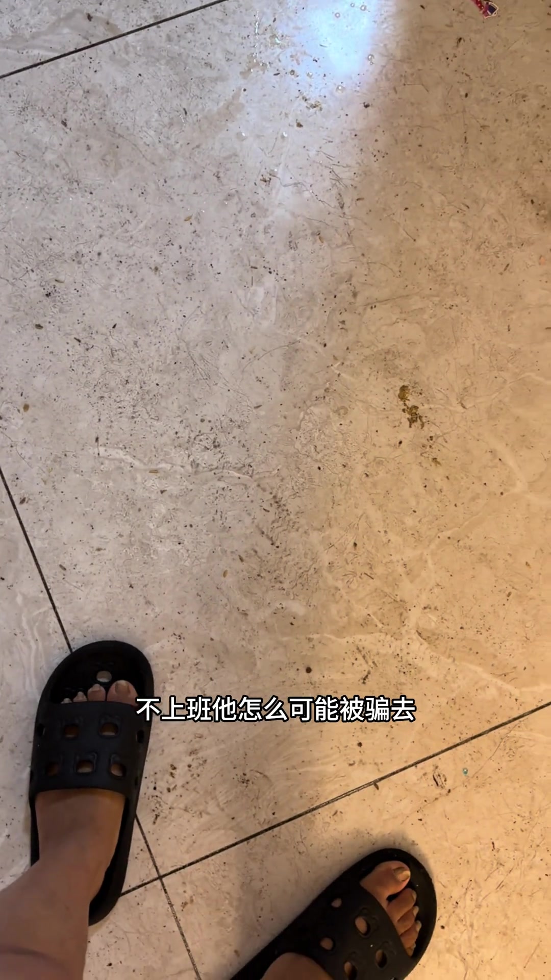 婆婆归来，联系不上肥老鼠，打扫家务劝我回老