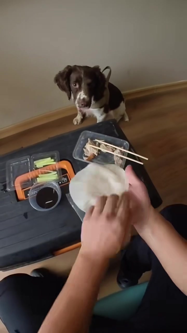 一人一犬的北京烤鸭，犒劳犒劳我的心头肉巴仟，小家伙辛苦了，刚大病初愈就又跟着我出差来培训了