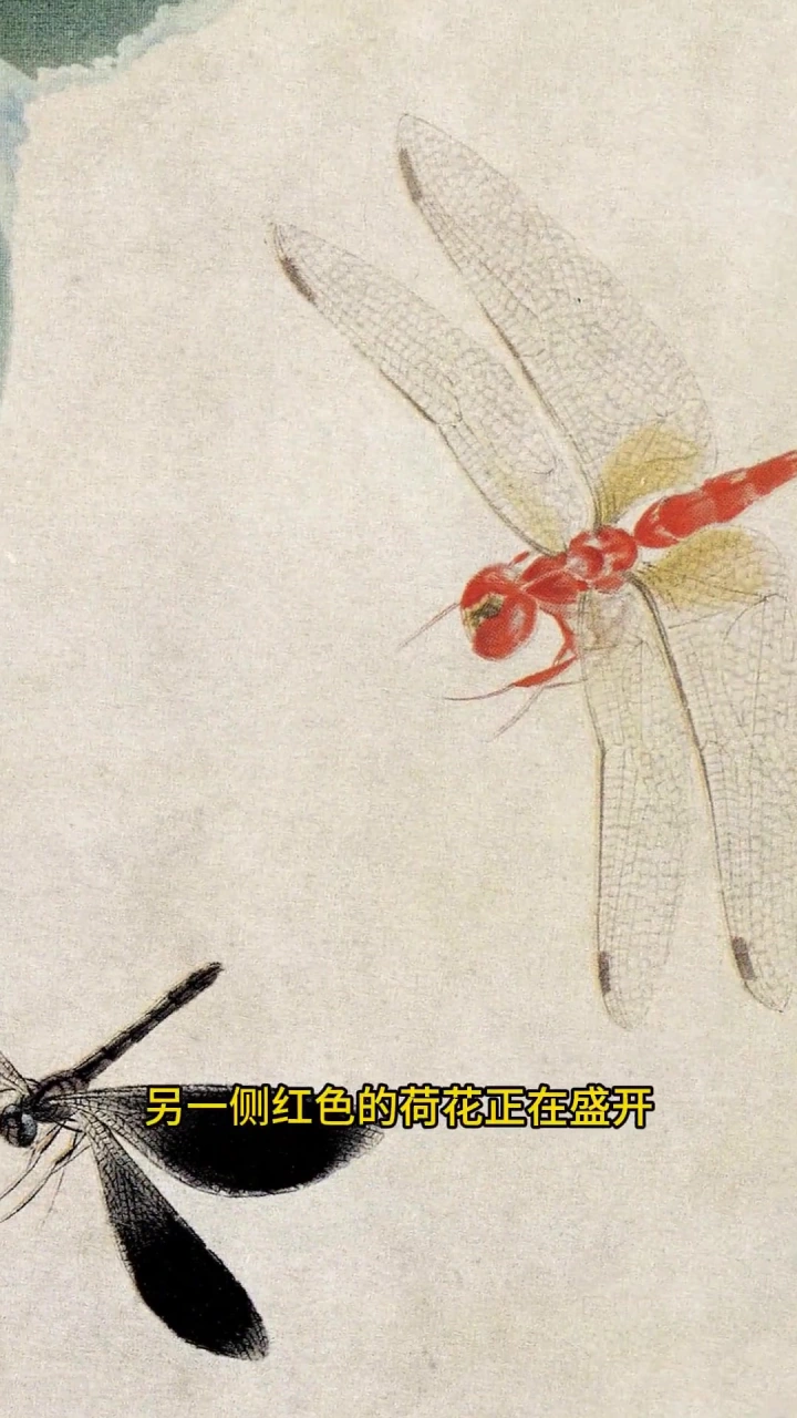 齐白石老先生画的蜻蜓荷花图，画面很有意趣，蜻蜓像要飞出画来