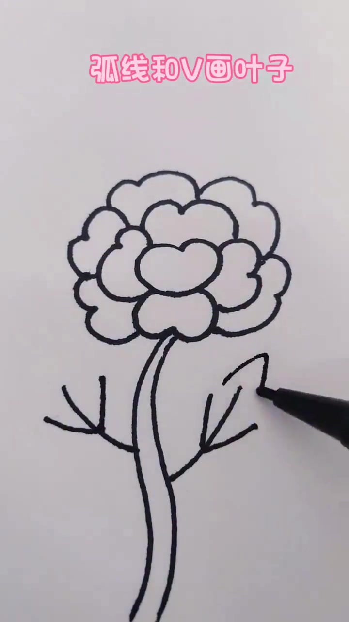 数字3画牡丹，简笔画一学就会的系列内容