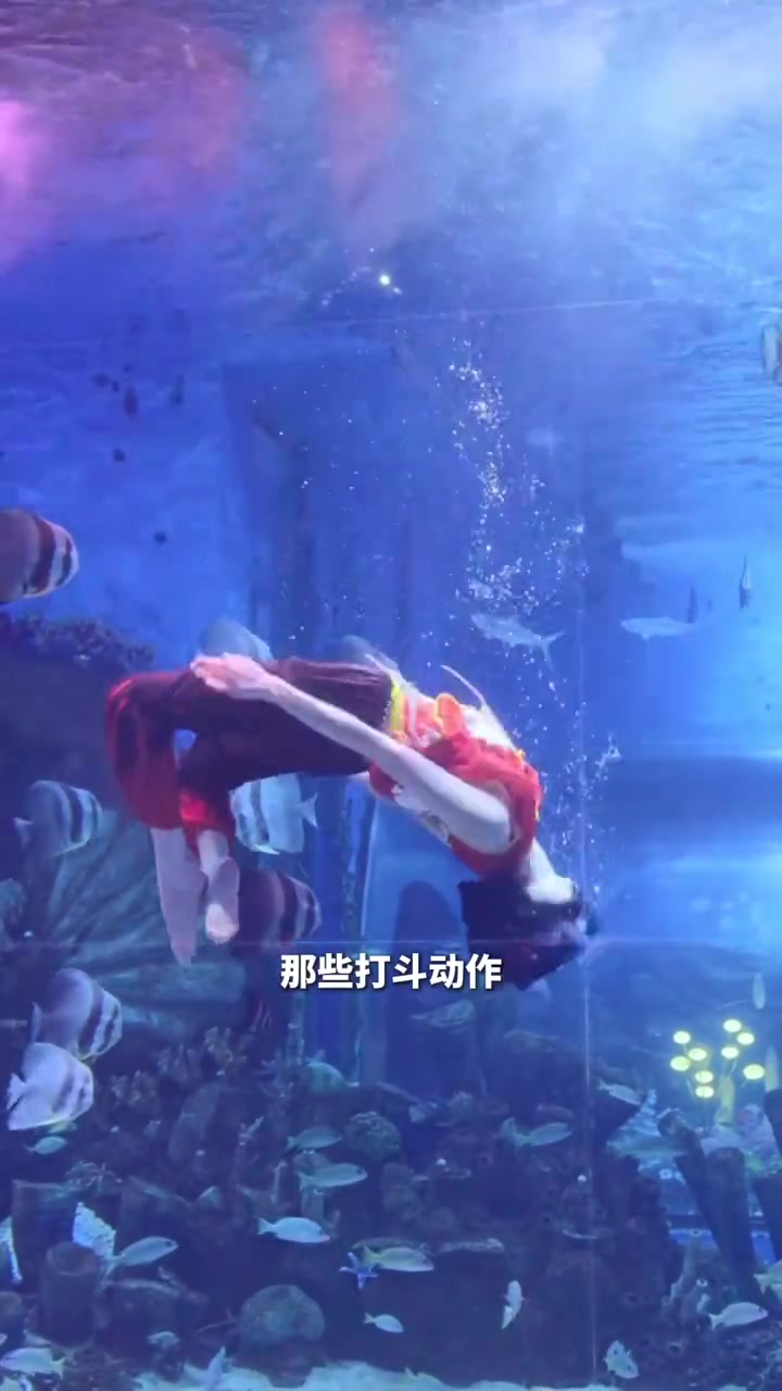海底世界的美人鱼表演还有这些你不知道的小秘密