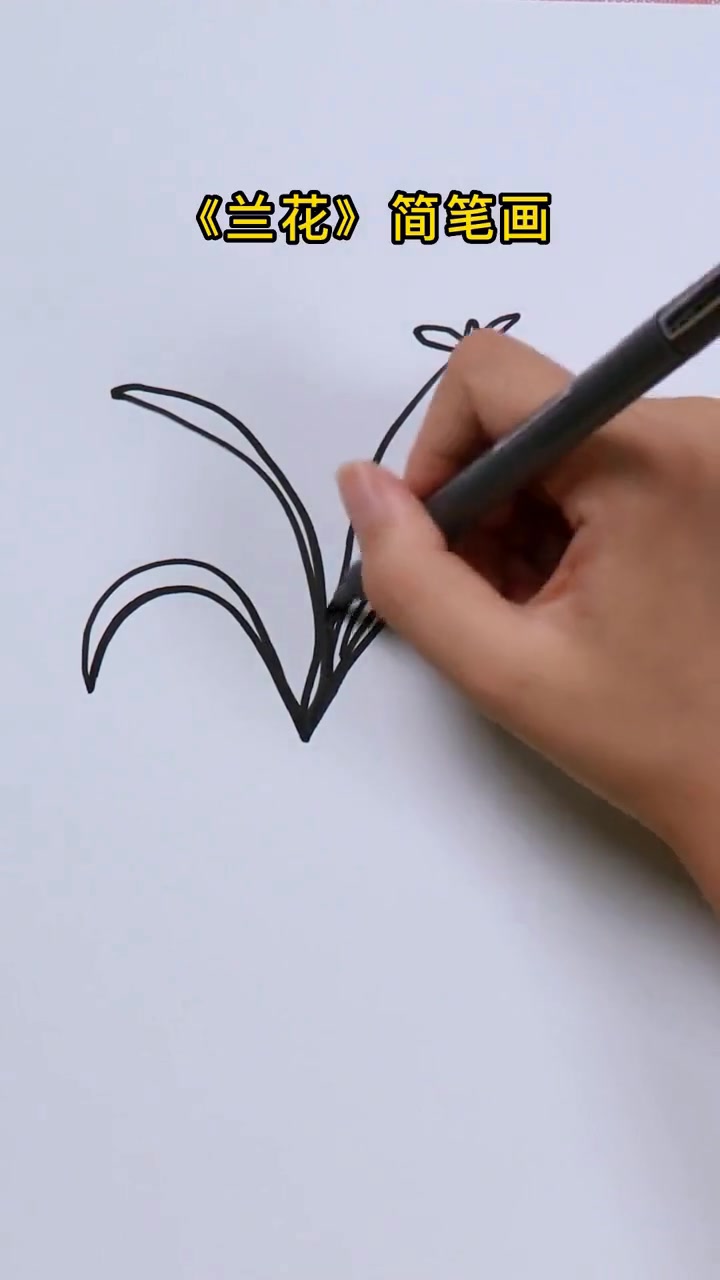 一学就会的兰花儿童简笔画教程