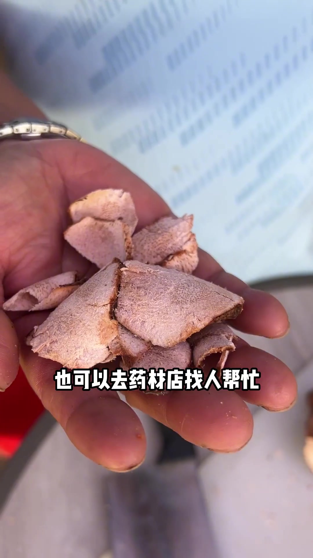 新鲜土茯苓怎么处理，煲汤料分享
