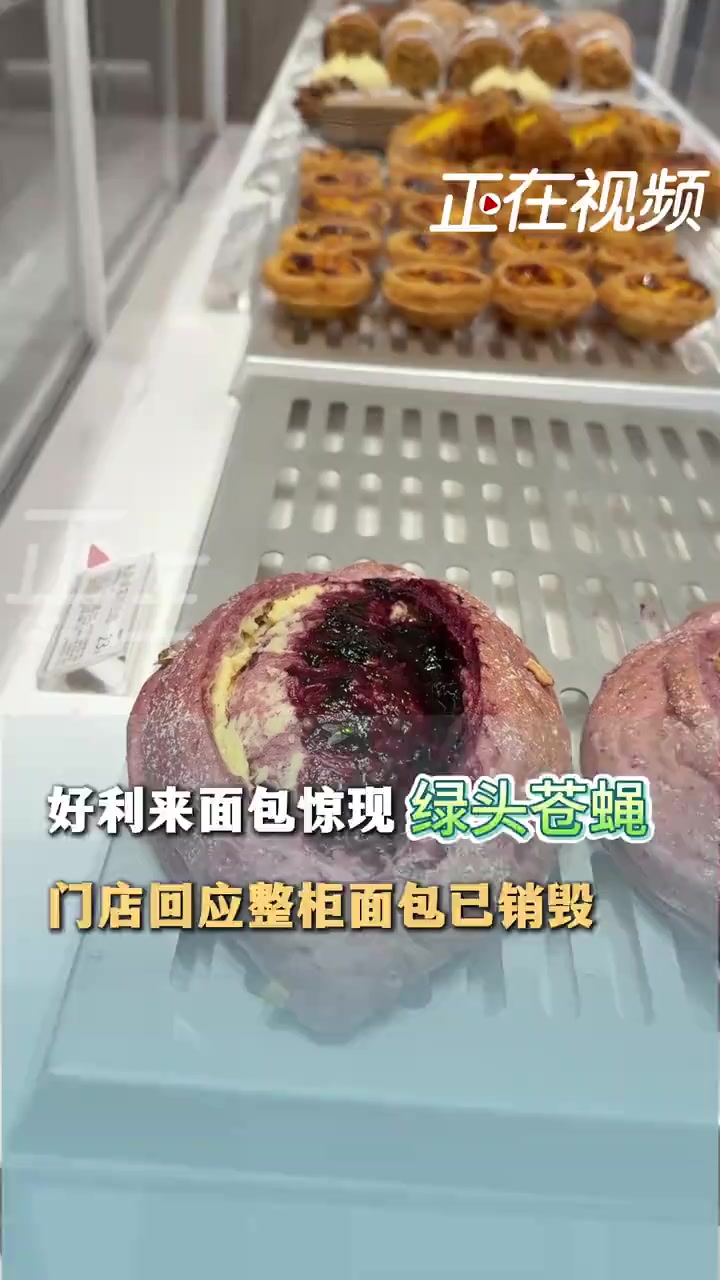 好利来面包柜内出现绿头苍蝇，门店：发现后两分钟内便驱离苍蝇