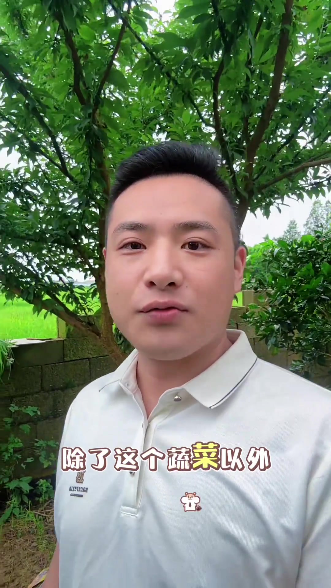 回农村老家吃纯天然蔬菜湖南