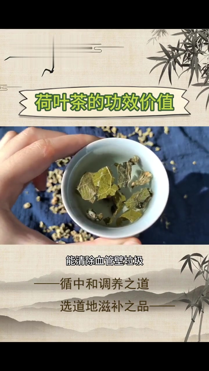 养生健康：夏季宜饮荷叶茶的功效与禁忌
