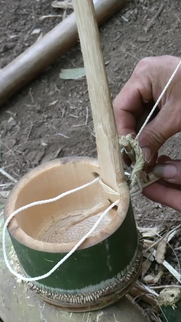 用竹子制作野鸡陷阱
