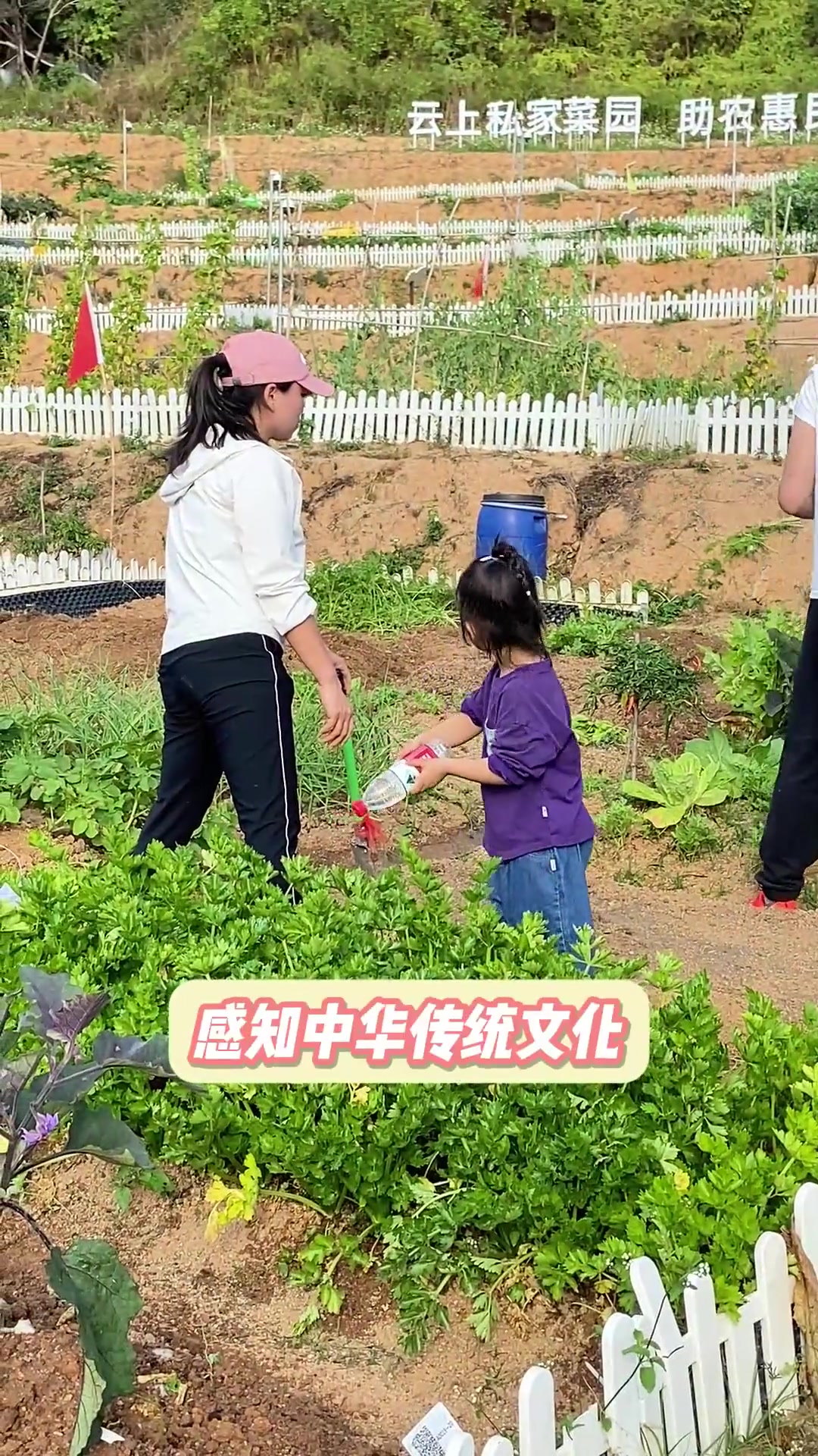 深圳60平私家菜园，是孩子们周末的宝藏乐园