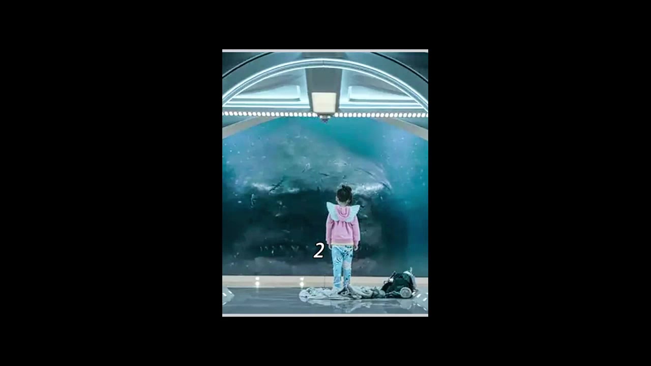 远古巨兽，地球上最大的鲨鱼