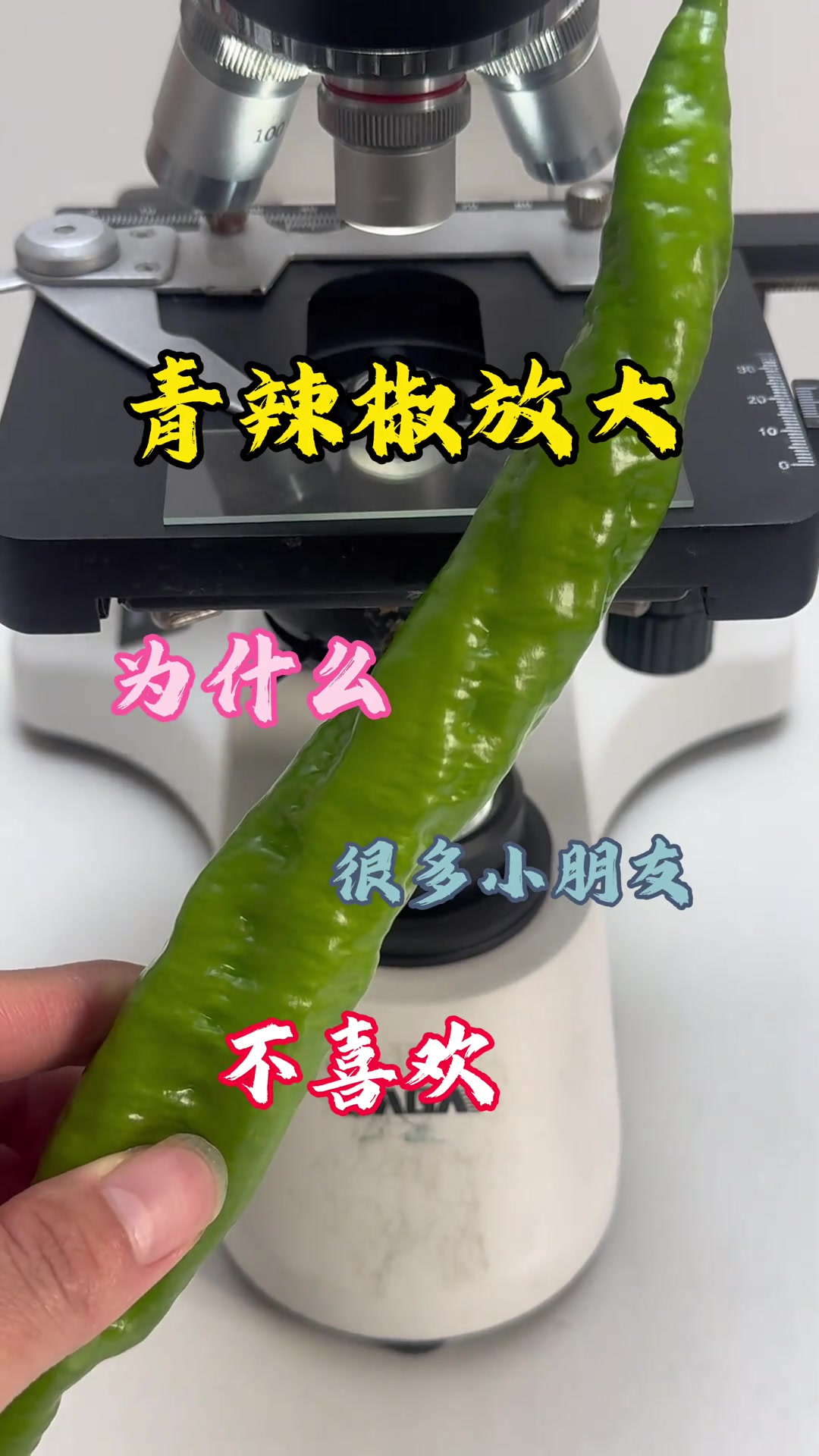 青椒放大后，为何小朋友不喜欢？