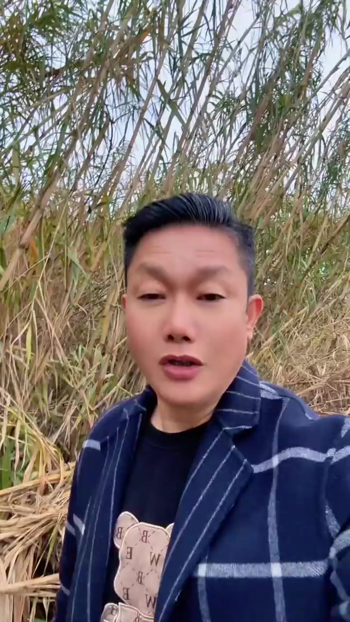 分享芦花鸡养殖日常及黑天鹅趣事点滴
