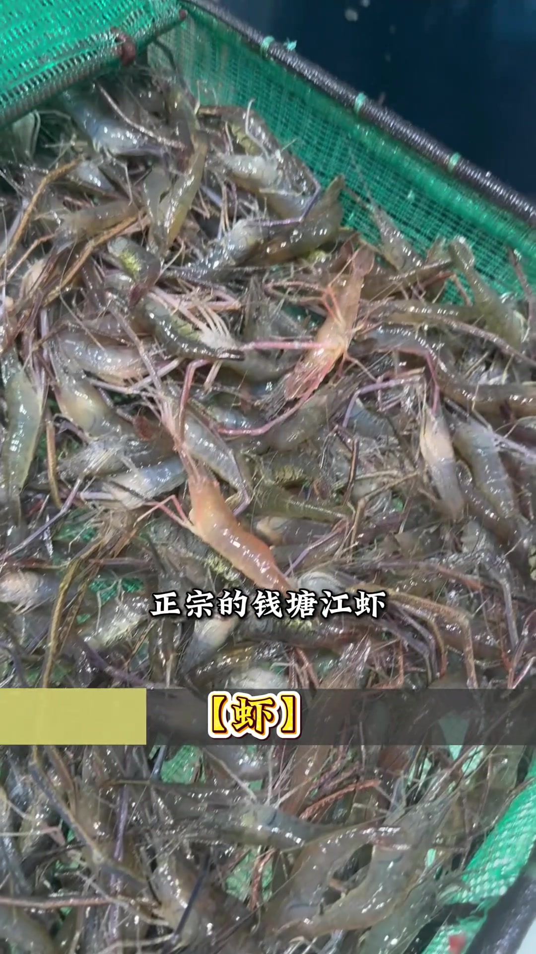 好食材才能做出好菜，我对食材要求一直很高