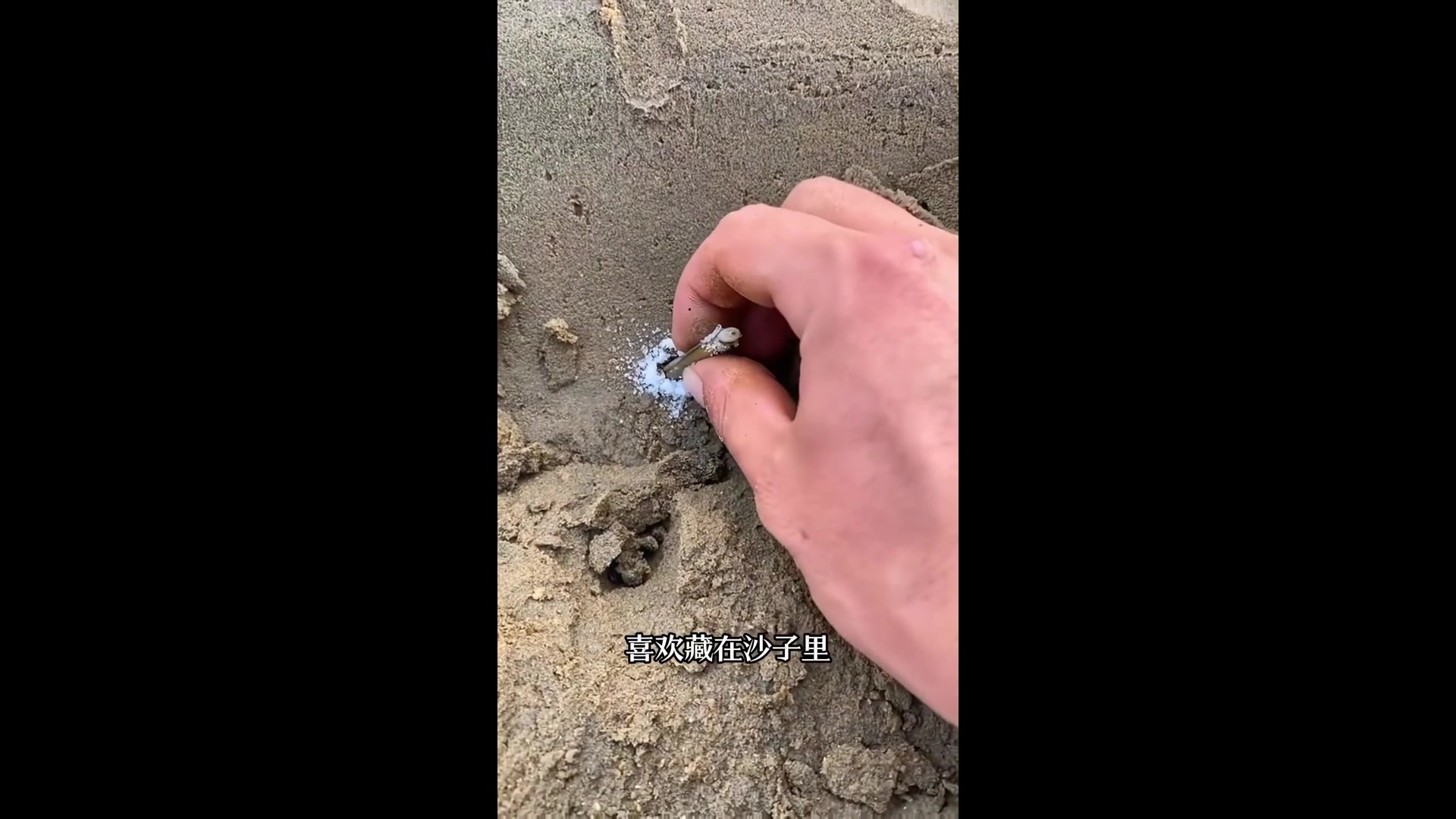 稀有金龙鱼价值几十万，能吃但不建议吃，强壮武装紧握蟹无毒可食