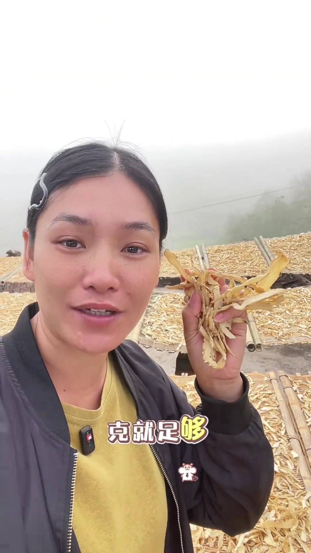 养生健康：玉竹沙参麦冬汤，清润回甘养阴燥