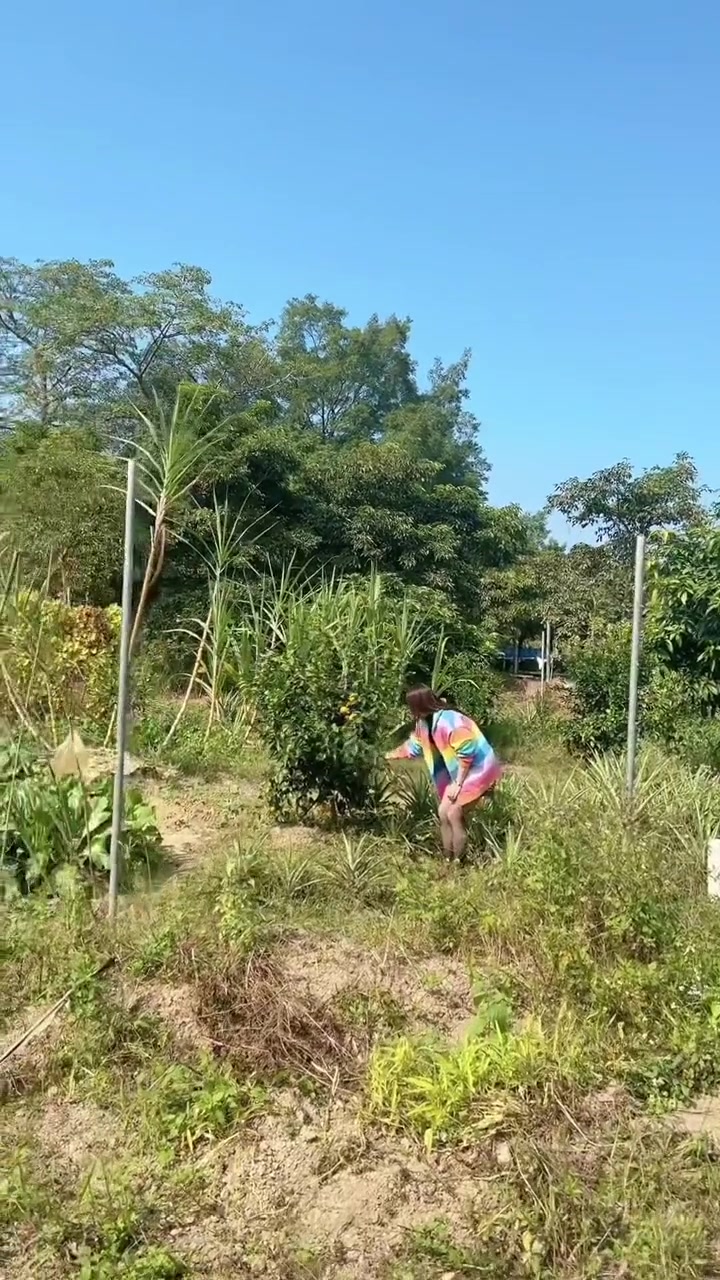 周末摘果摸螺捉鱼 重拾儿时田间趣事
