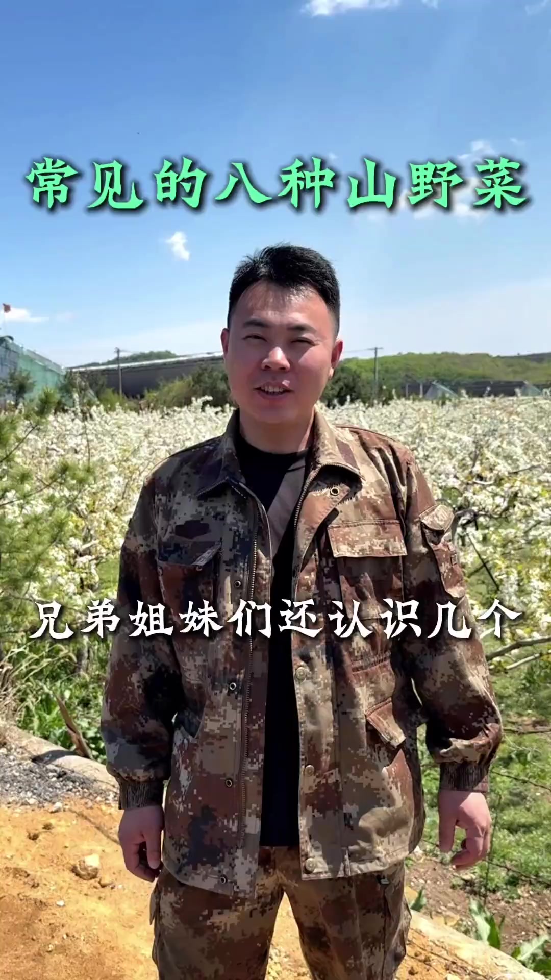 常见的八种山野菜，你还认识几种