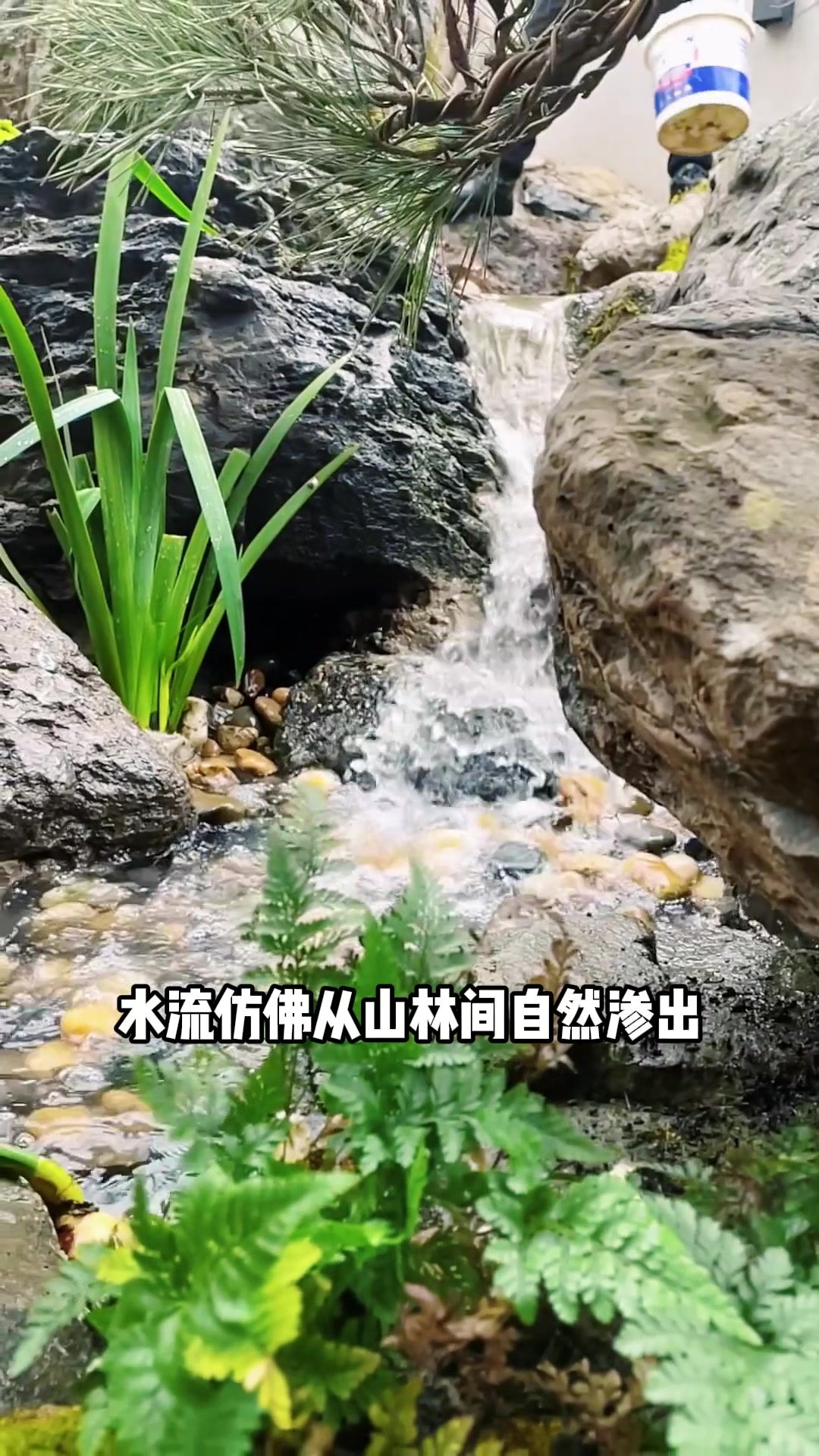 生态鱼池溪流出水口打造的庭院景观设计小技巧