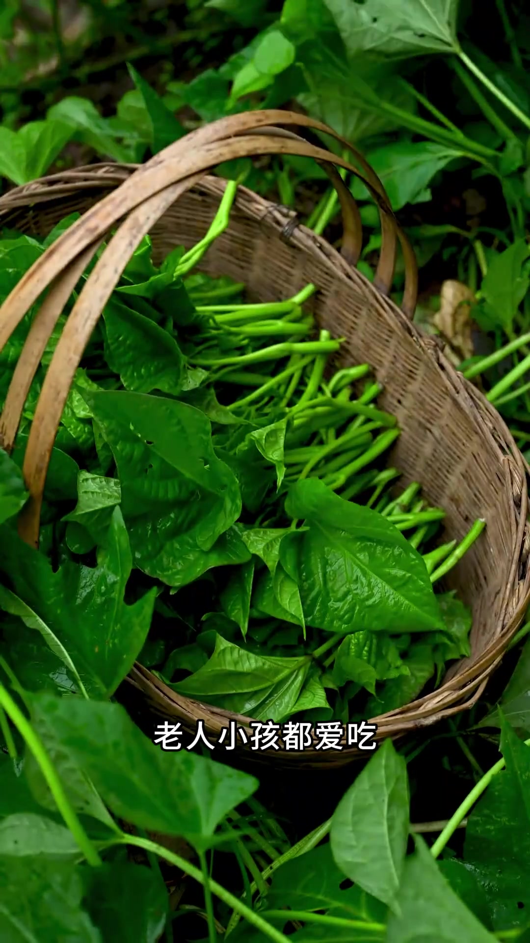 分享10种能吃的庄稼叶子，你吃过几种
