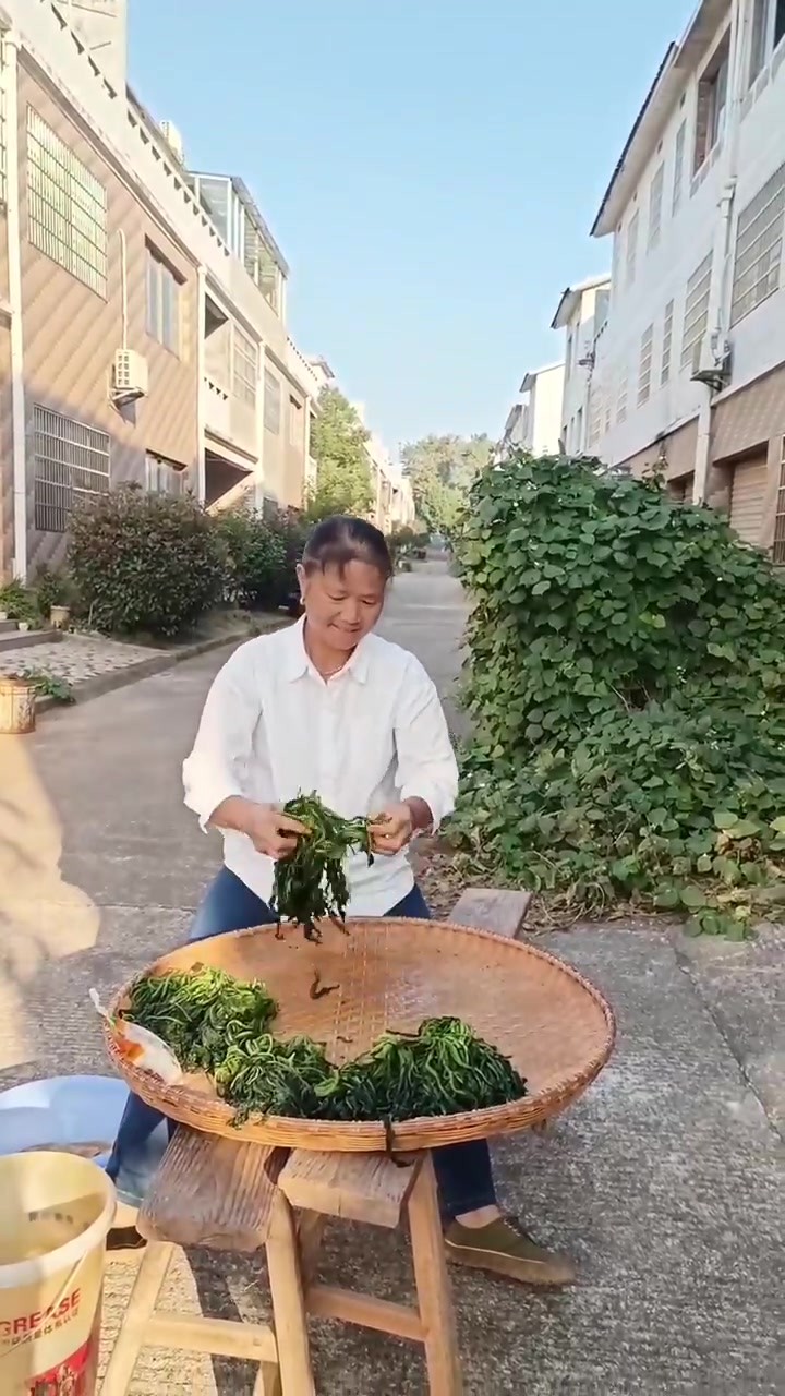 压雪里红菜不用放水，晒腌一晚就能吃
