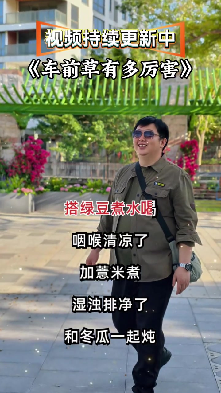 中医养生：车前草的功效与作用
