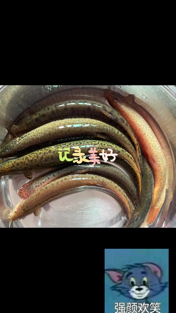 煎制河鲜煮制鲜虾美食制作完整记录