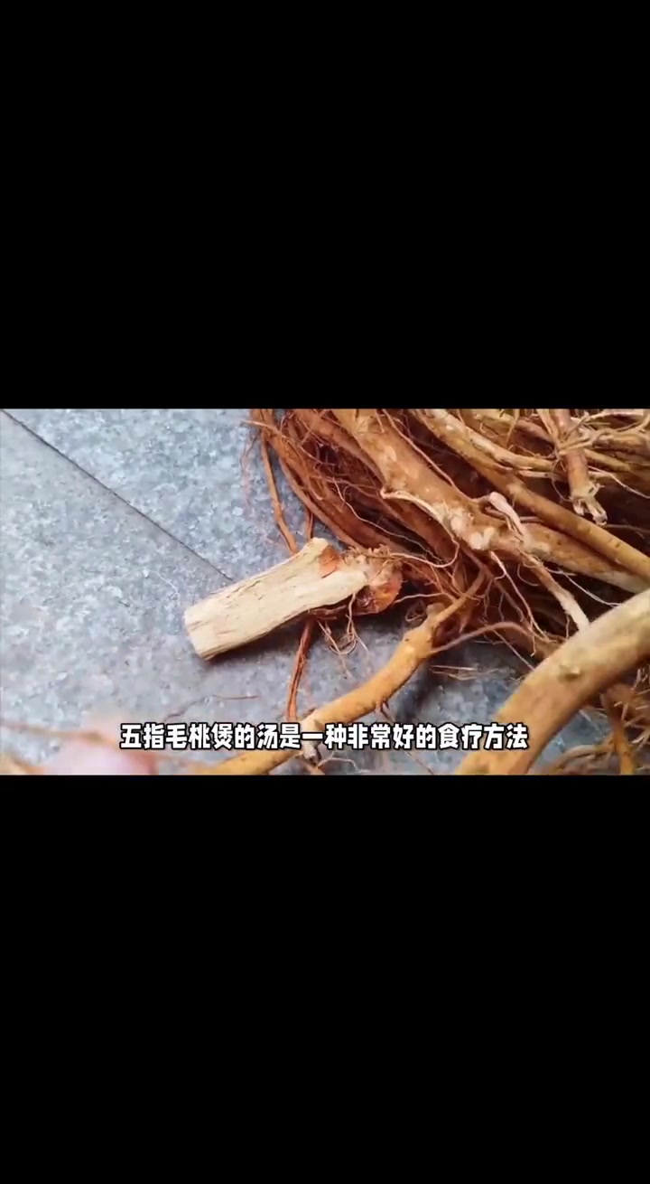 中药科普：五指毛桃的功效与作用