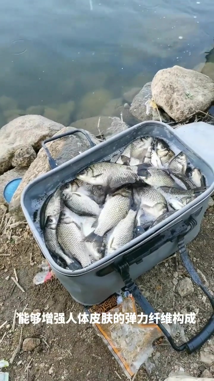 健康科普：鲫鱼汤的功效