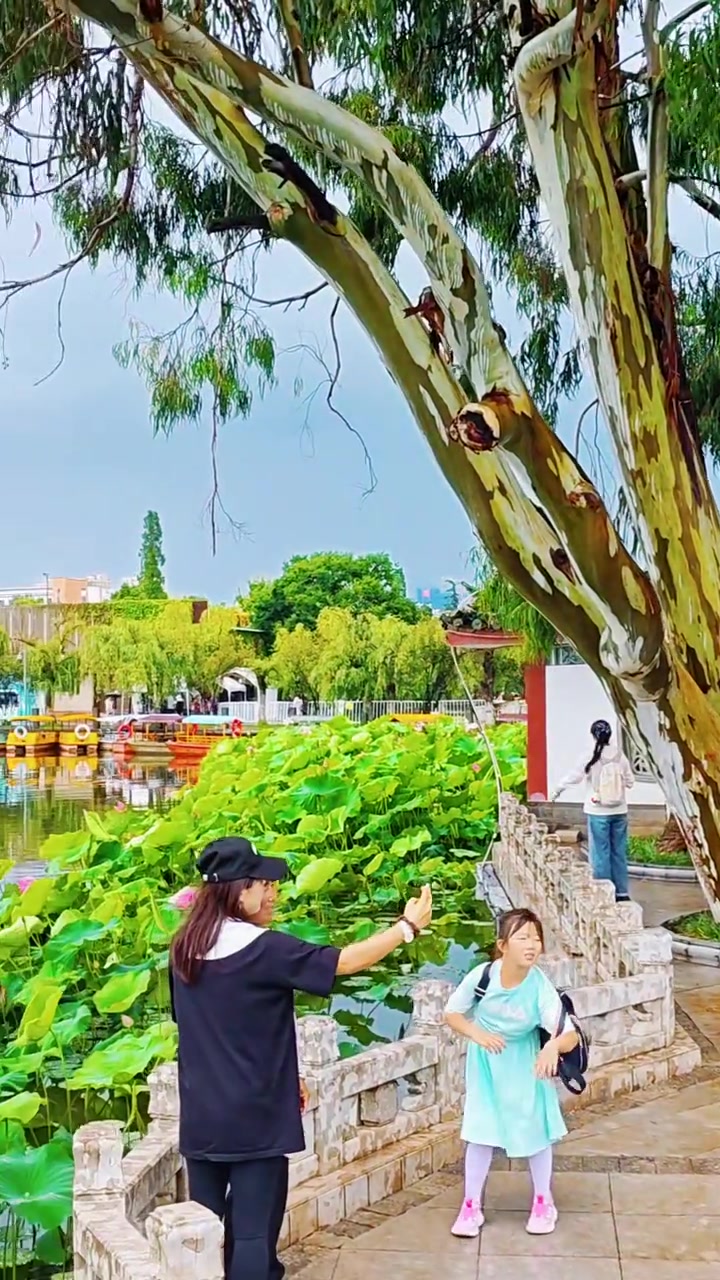 自驾游在昆明待了七天，发现滇池旁免费公园藏有名楼