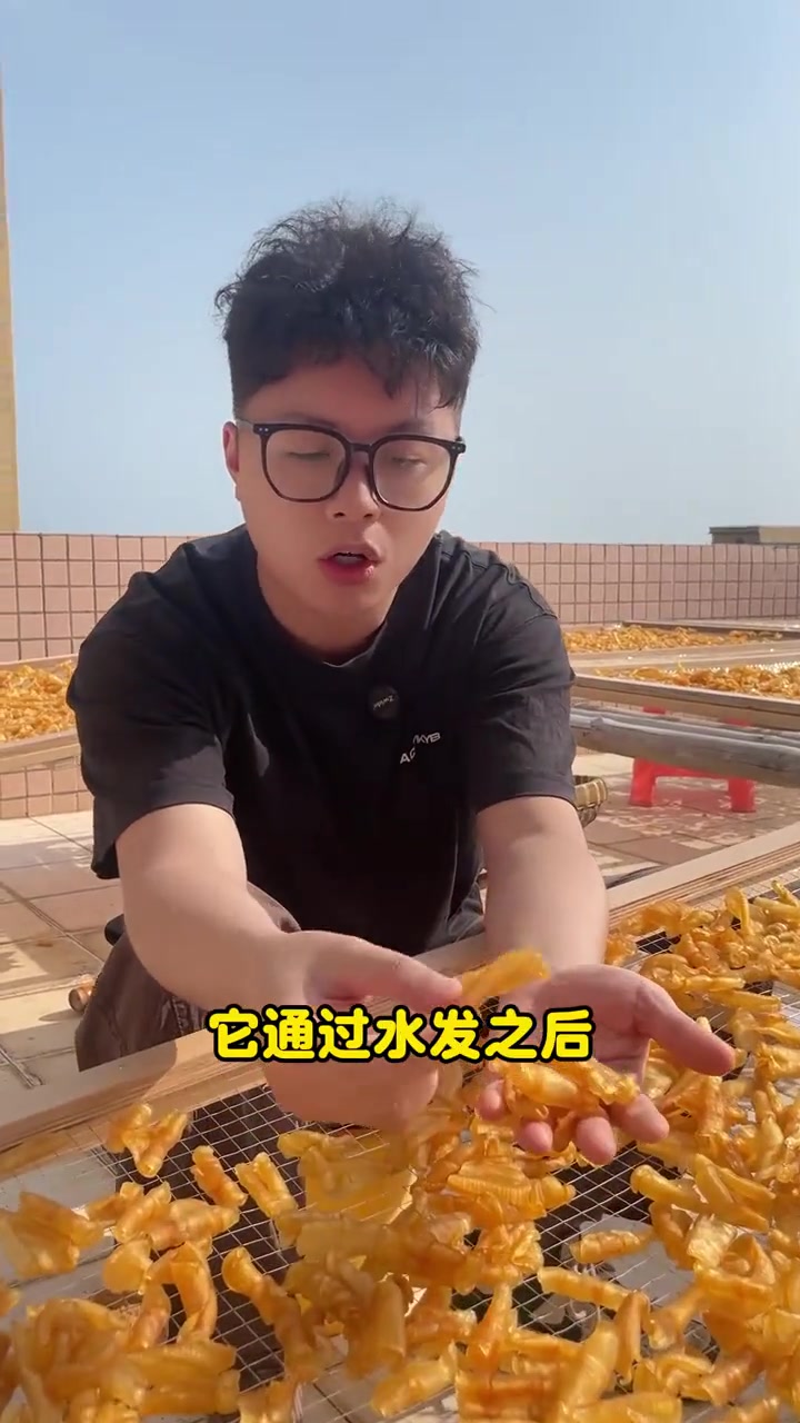 养生健康：花胶，鱼鳔干制品的营养价值