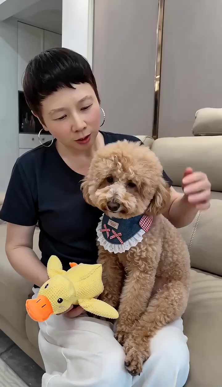 软萌小黄鸭发声玩具，耐咬不伤牙，狗狗一玩能玩一整天，解闷消磨独处时光