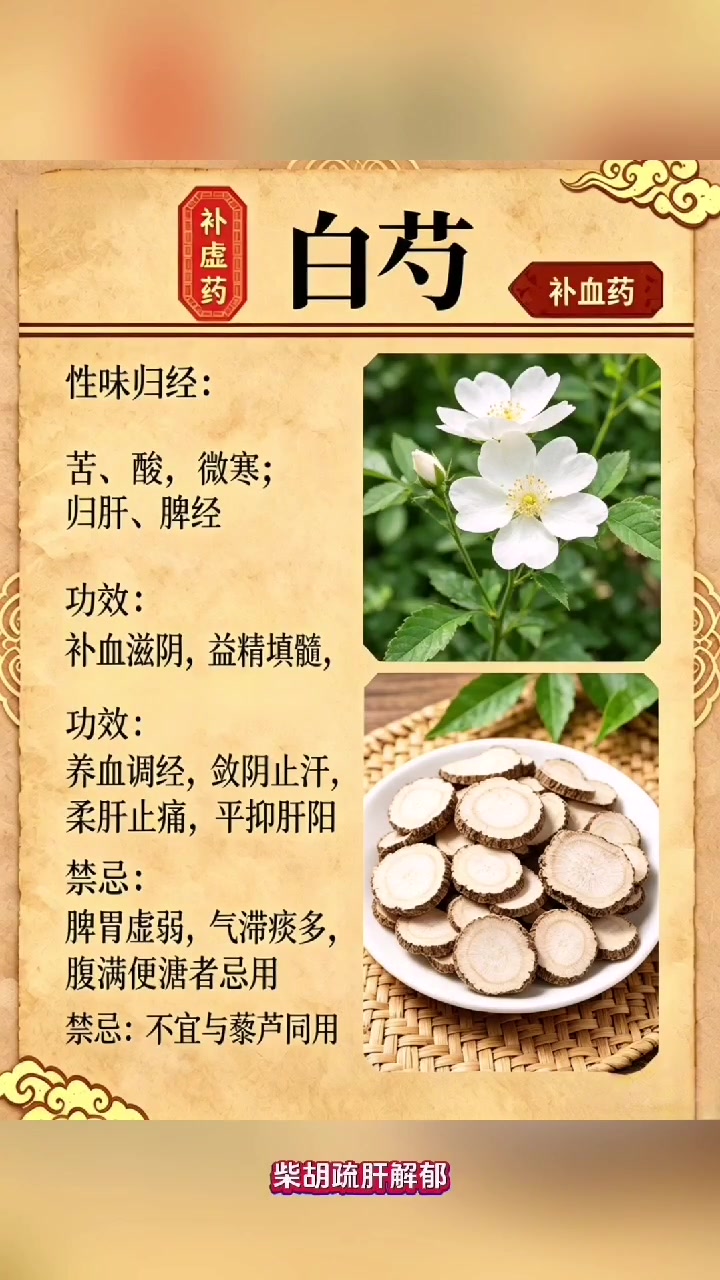 中药科普：白芍的功效与作用